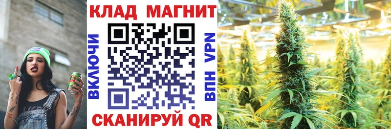 Все наркотики Всеволожск СОЛЬ  Псилоцибиновые грибы  МЕФ  ГАШИШ  Кокаин  МАРИХУАНА 