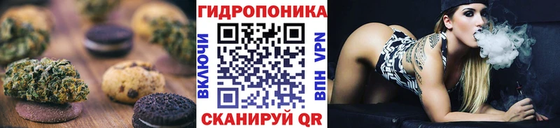 сколько стоит  Всеволожск  OMG сайт  Cannafood марихуана 