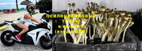 дурь Арсеньев