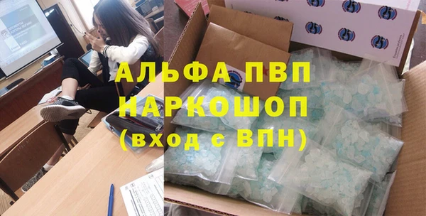 индика Заводоуковск