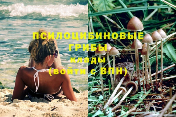 дурь Арсеньев
