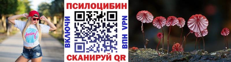 Псилоцибиновые грибы Psilocybe  блэк спрут как зайти  Всеволожск 